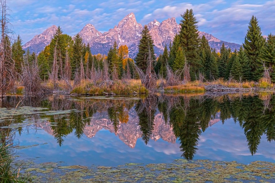 Alpen Glow Tetons by Angelo Marcialis