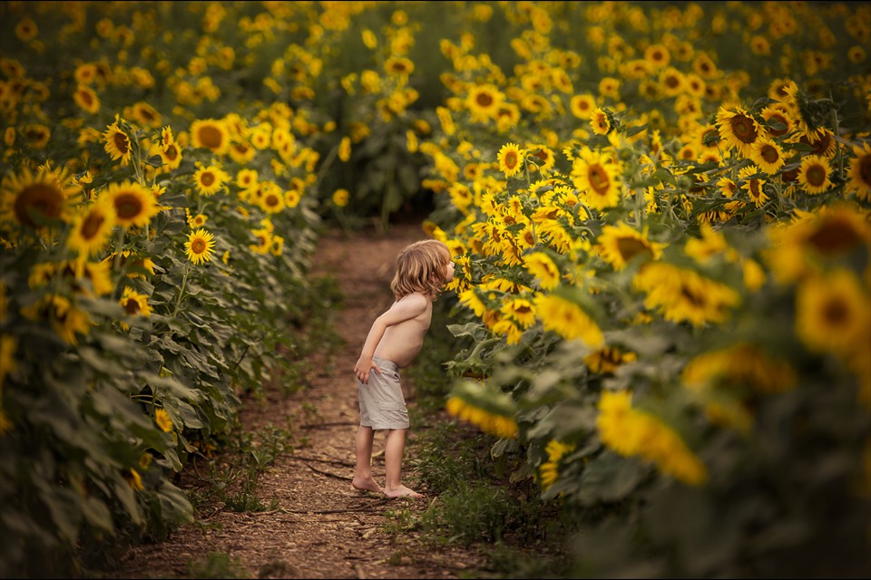 Saluting My Little Sun by Poliana DeVane