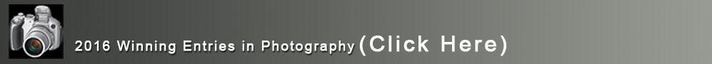 Winning Photography Images